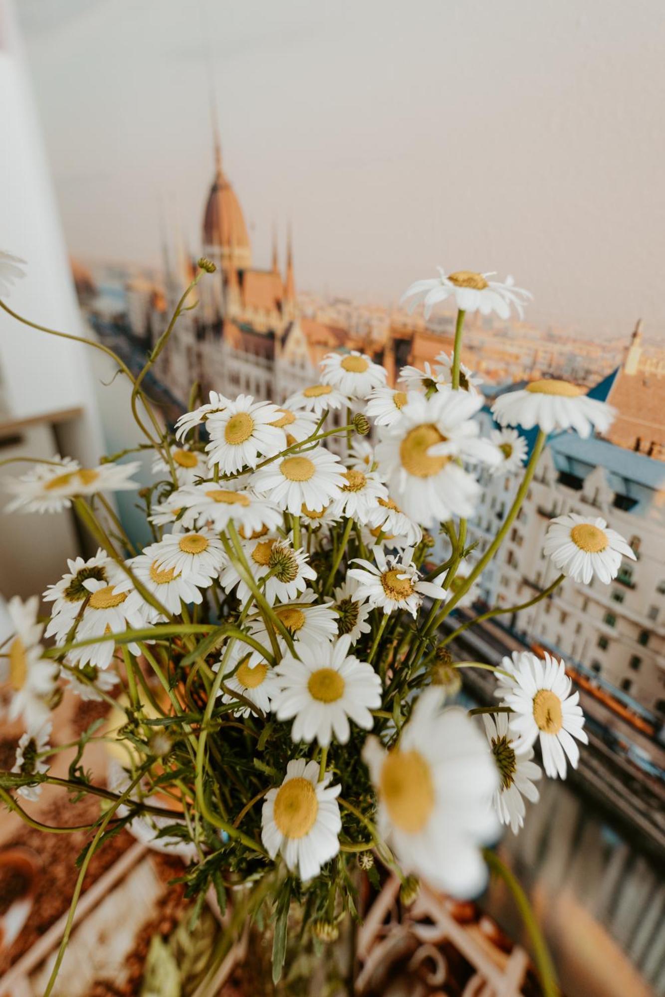 Margaret & Violet Apartments - Peaceful Stay Downtown Budapeszt Zewnętrze zdjęcie
